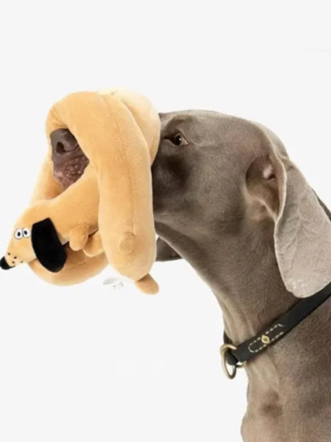 Sausage Dog Toy