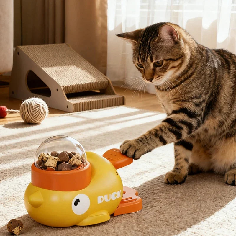 Interactive Puzzle Toy