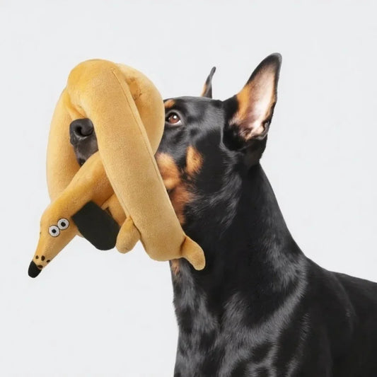 Sausage Dog Toy
