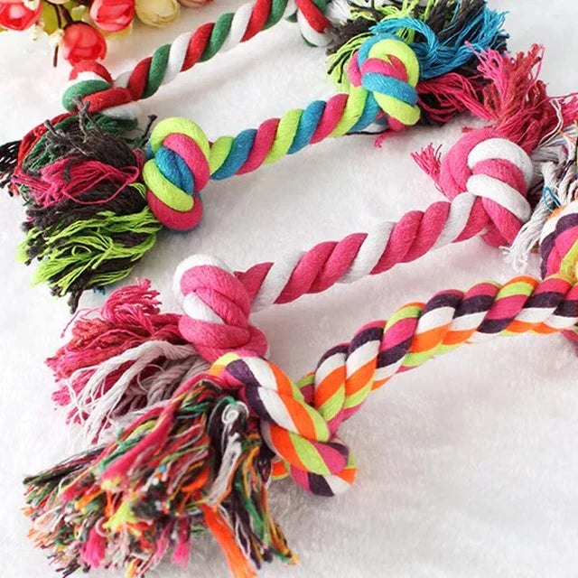 Chew & Dental Toys