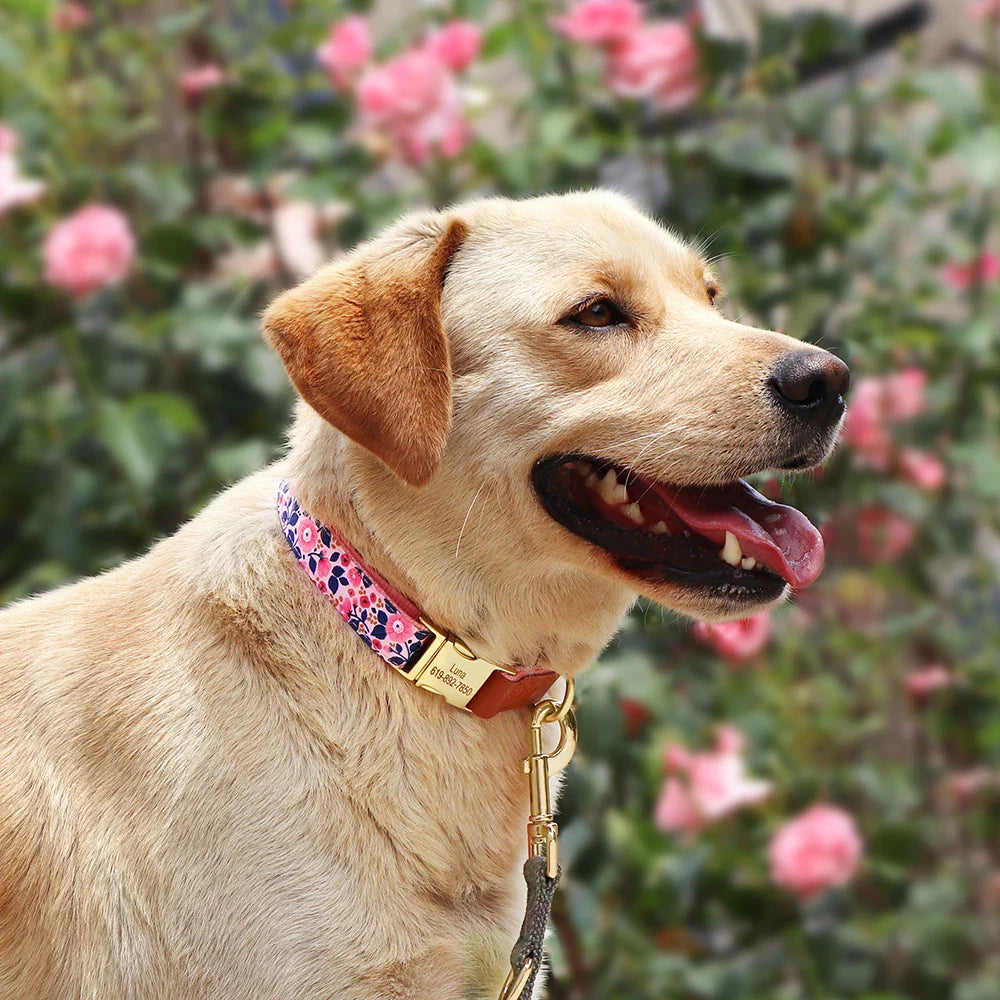 Adjustable & Personalized Dog Collars