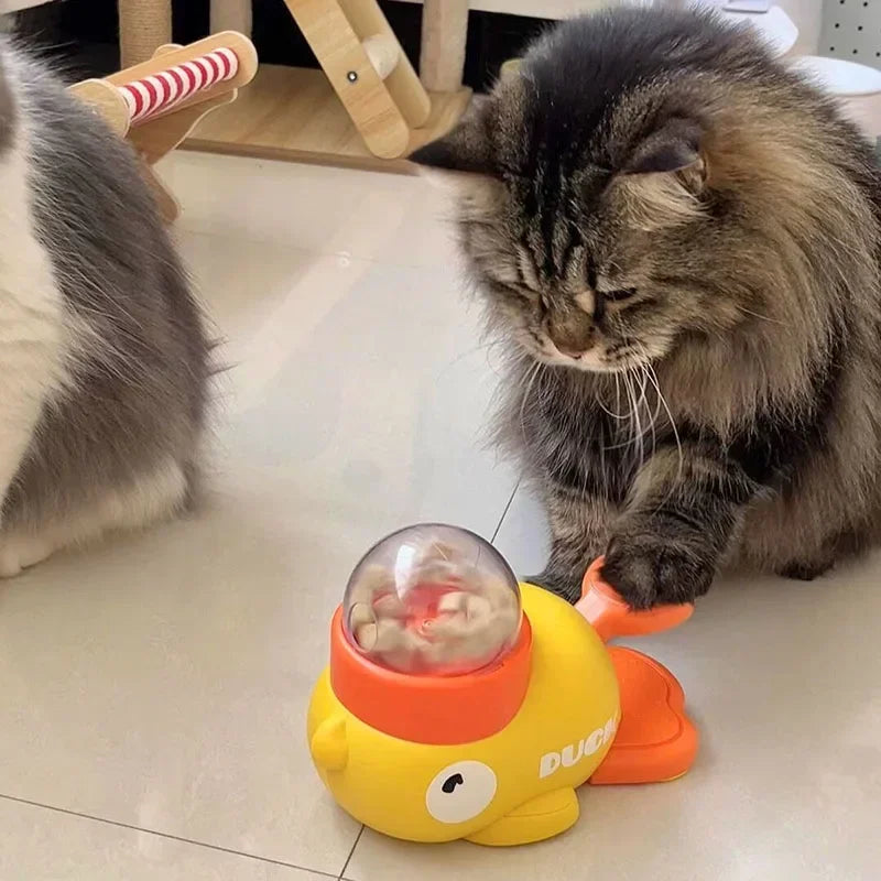 Interactive Puzzle Toy