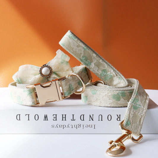 Lace Wedding Dog Collar