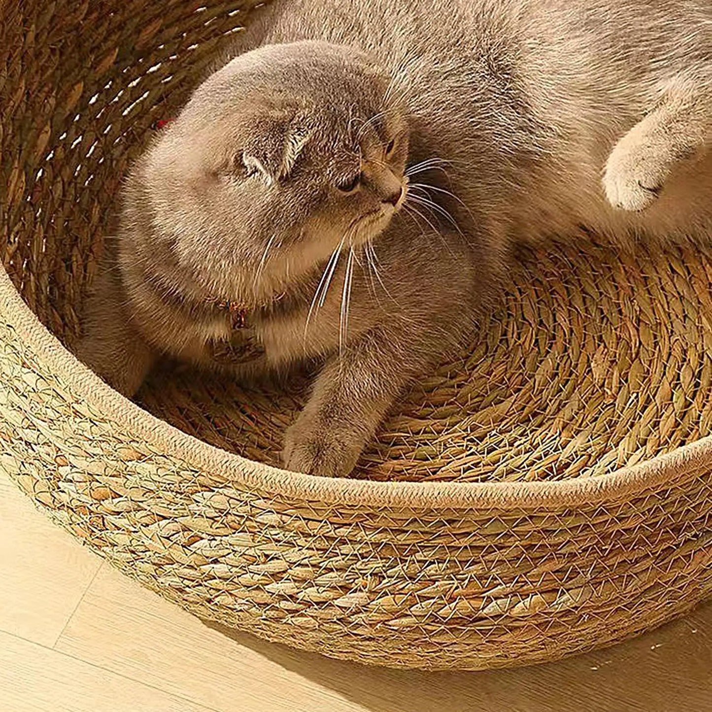Woven Cat Bed