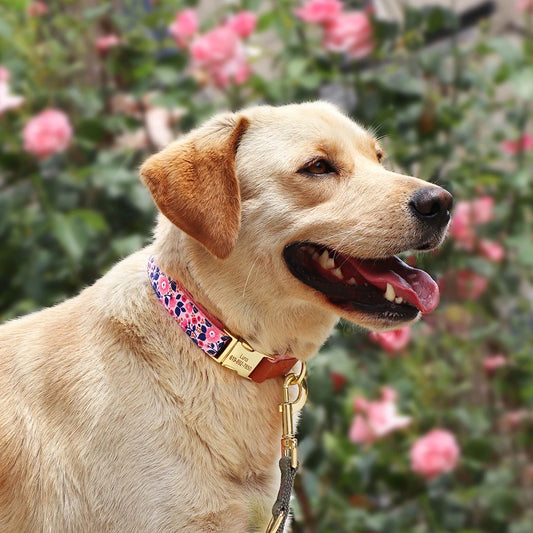 Floral Dog Collar