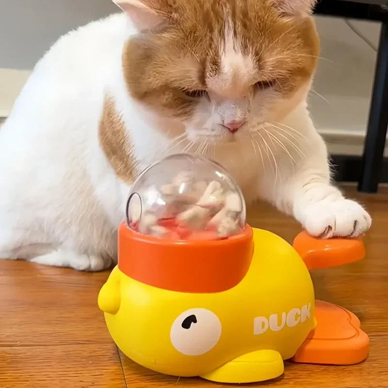 Interactive Puzzle Toy