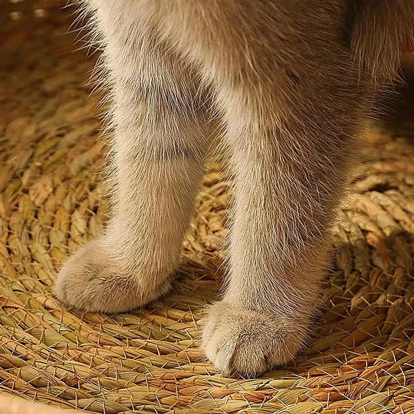 Woven Cat Bed