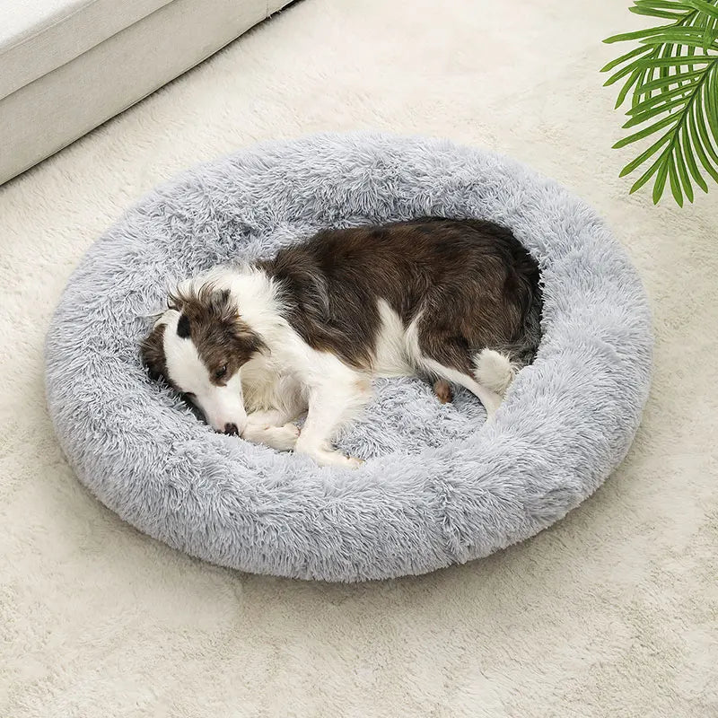 Cloud Dog Bed