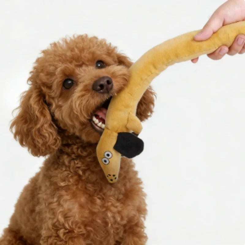 Sausage Dog Toy