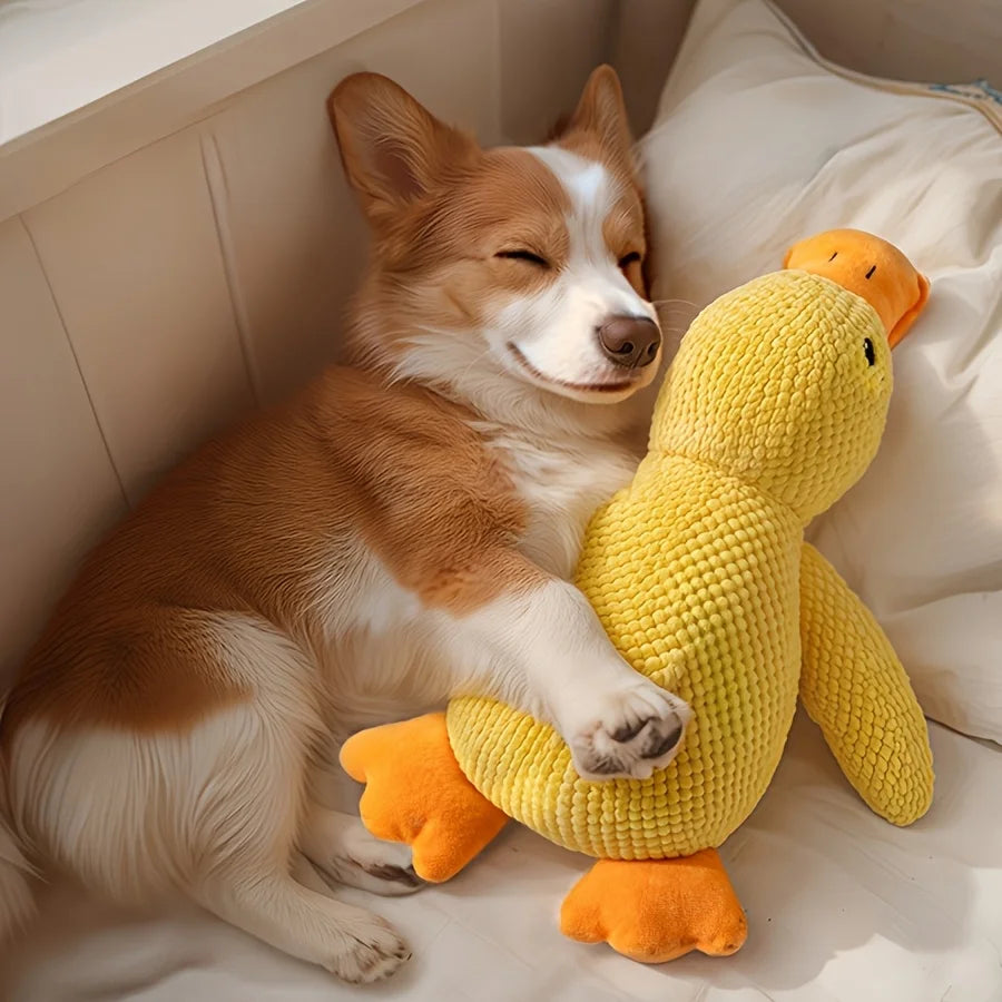 Cozy Cuddle Dog Toy